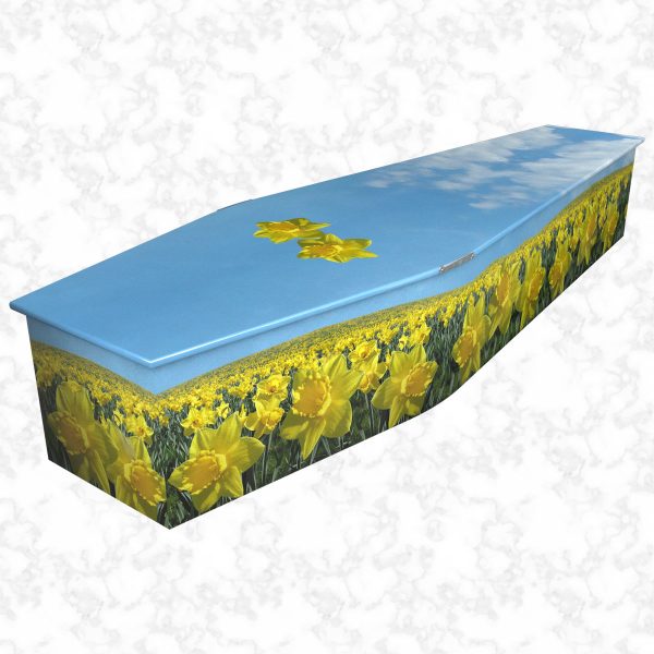 Field of Daffodils Colourful Coffin