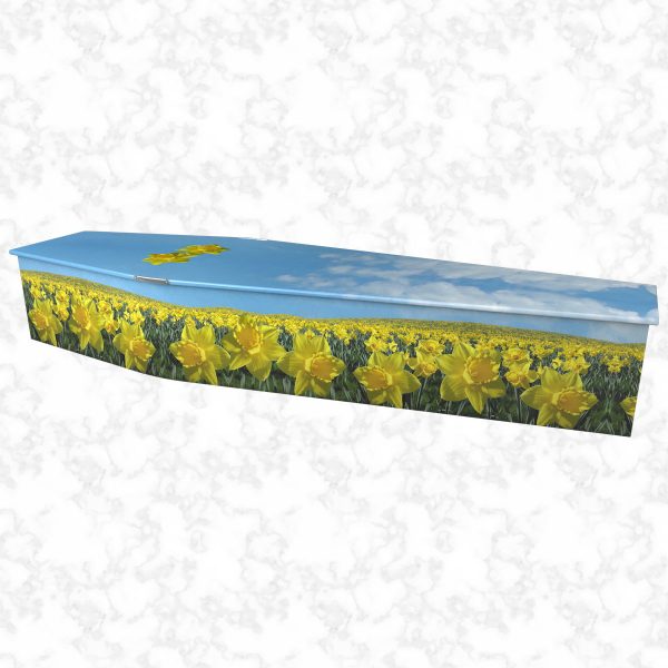 Field of Daffodils Colourful Coffin side view