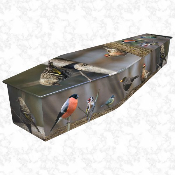 British Birds Colourful Coffin