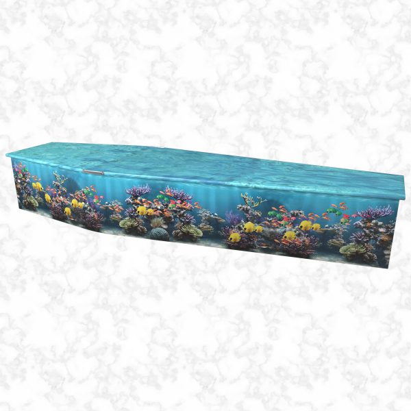 Fish Tank Colourful Coffin side view