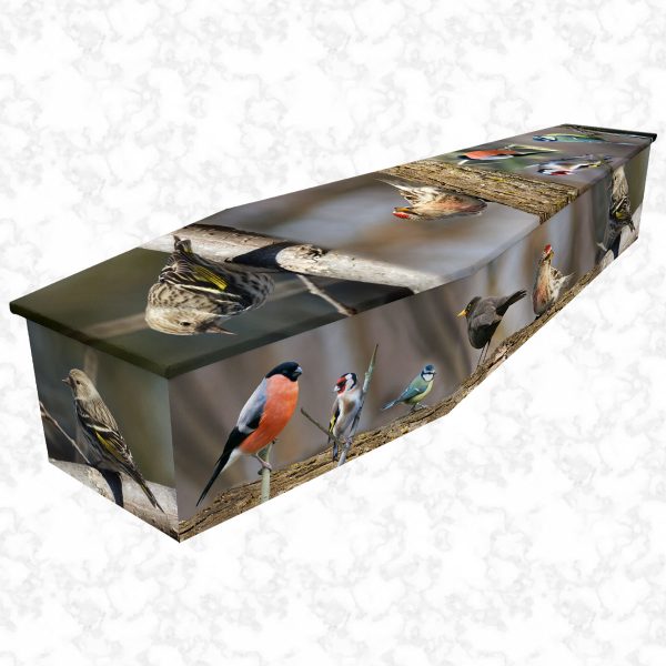 British birds cardboard coffin