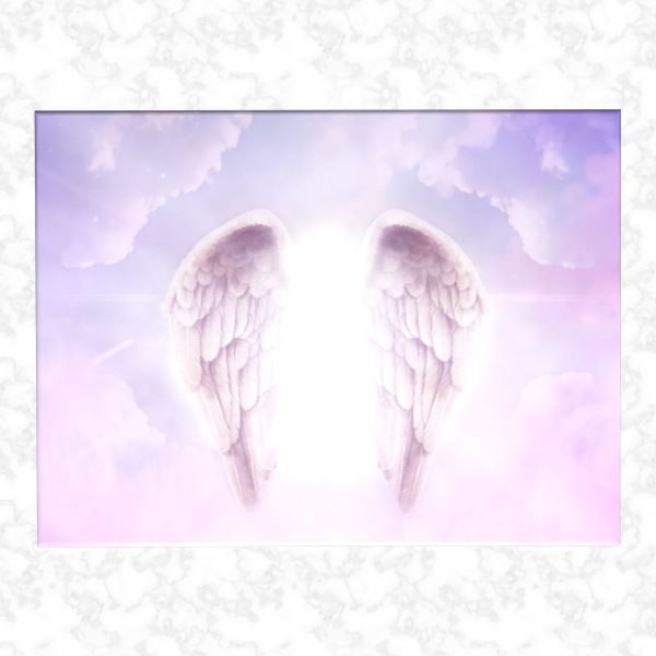 sweet angel adult ashes casket top view