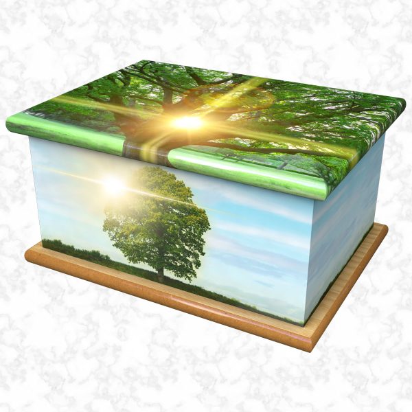 tree of life adult ashes casket