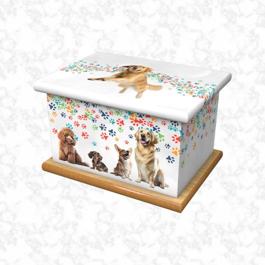 dogs child ashes casket