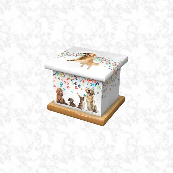 dogs infant ashes casket