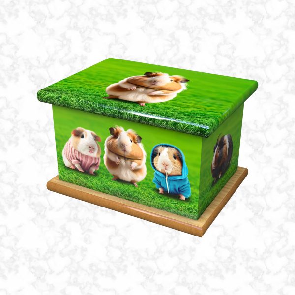 guinea pigs child ashes casket