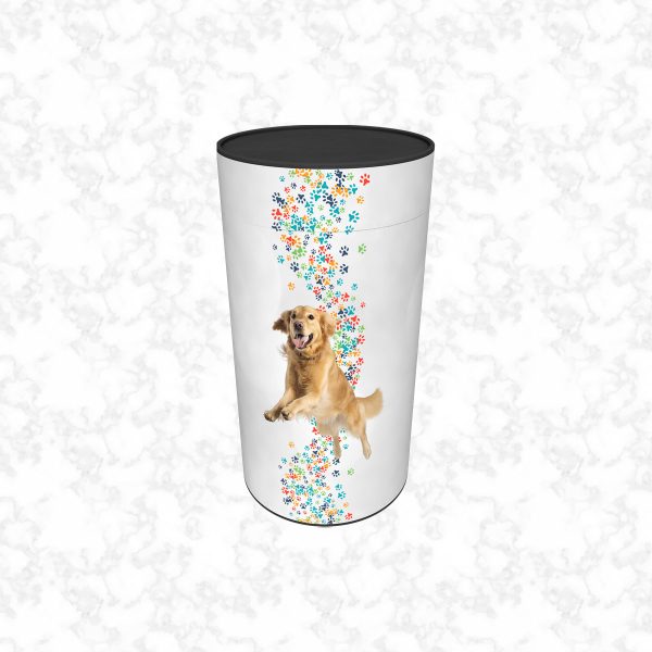 dogs child scatter tube