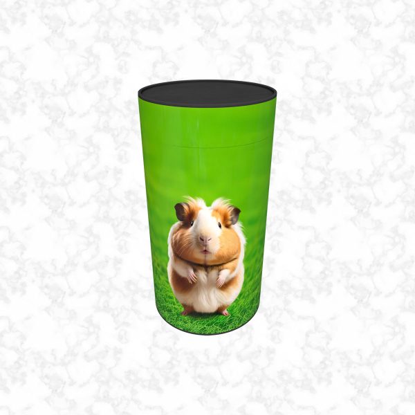 guinea pigs child scatter tube