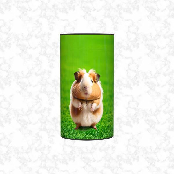 guinea pigs child scatter tube front view